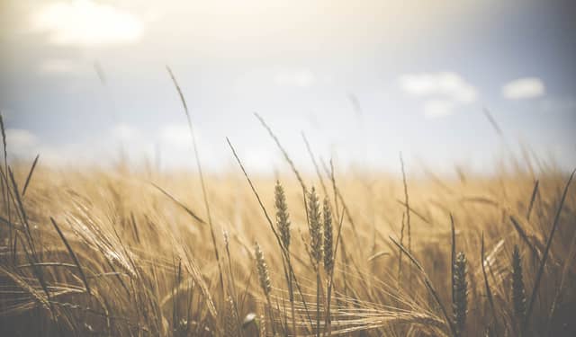CARLOW WEATHER: Largely dry day with sunny spells expected