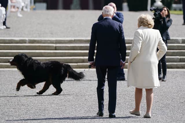 Two-year-old Misneach – the Irish word for courage – ran past Mr Biden as he spoke with President Higgins’ wife Sabina.