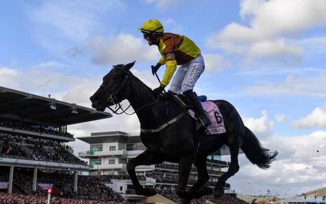 Cheltenham Gold Cup winner Galopin Des Champs is included in the Punchestown Gold Cup field. PIC: Sportsfile