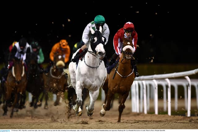 Racing in Dundalk PIC: Sportsfile