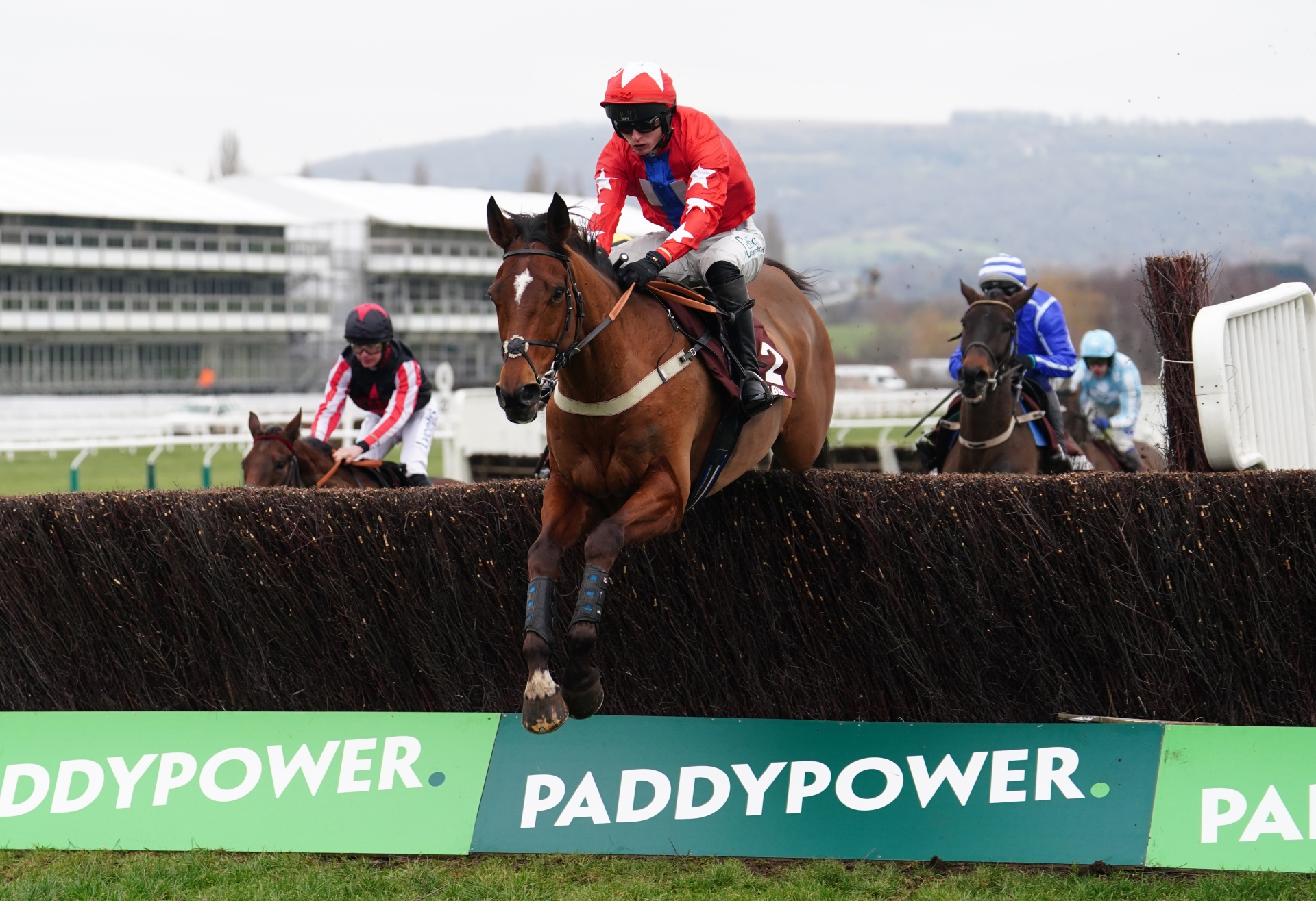 Waterford jockey named January Jockey of the Month