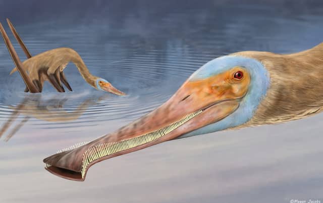 New species of dinosaur with more than 400 teeth discovered in Europe