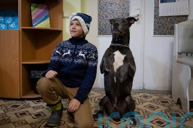 And in came Bice, the tail-wagging therapist.
