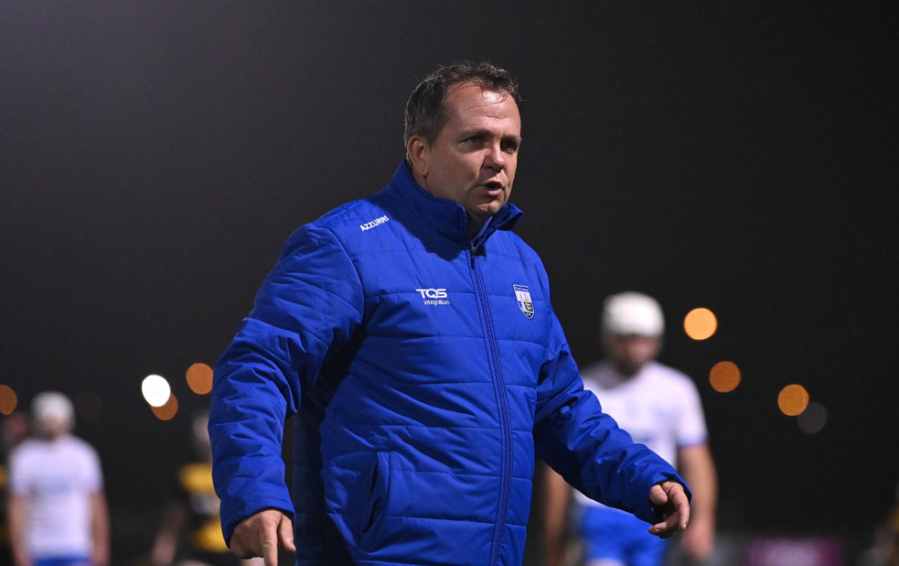 Waterford hurling manager Davy Fitzgerald. PIC: Sportsfile