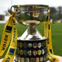 Waterford clubs discover opponents in next round of FAI Junior Cup