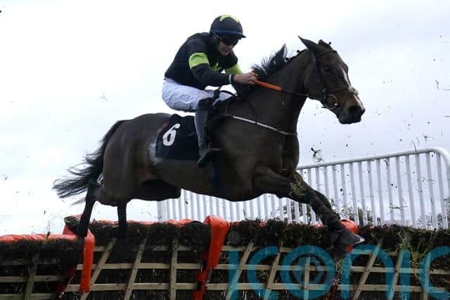 Envoi Allen was one of two notable winners for De Bromhead at Down Royal, with Magical Zoe finishing with a rattle to maintain her unbeaten record in the previous afternoon’s Irish Stallion Farms EBF Feathard Lady Mares Novice Hurdle.