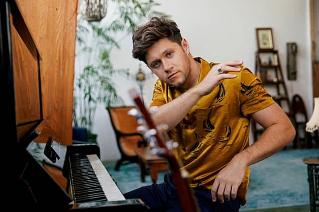 Irish singer-songwriter Niall Horan will join The Voice US as a coach for the new season next spring.