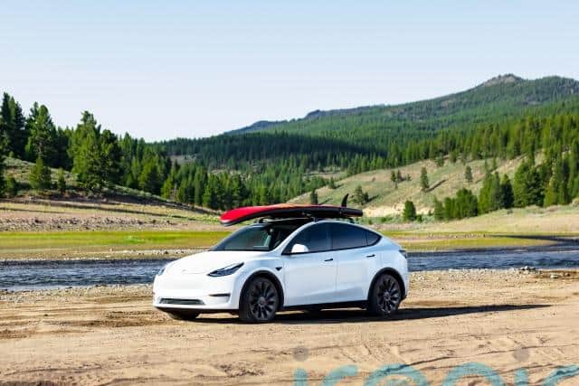 Tesla Model Y – 8,315