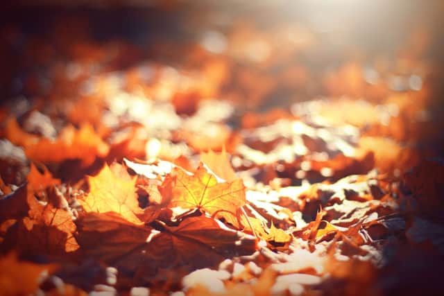 Car Insurance experts Chill have put together the ultimate tips for driving safely over the next few months. 