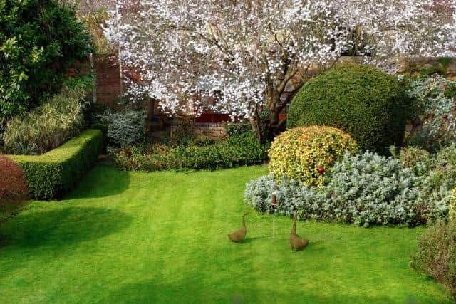 She says autumn lawn feeds are low in nitrogen, as you don’t want to encourage any soft top growth that can be easily burnt by frost.