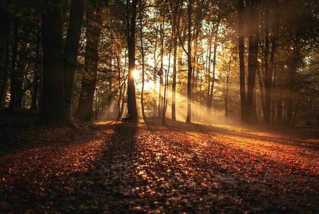 CARLOW WEATHER: Mainly dry and sunny today with some isolated showers expected