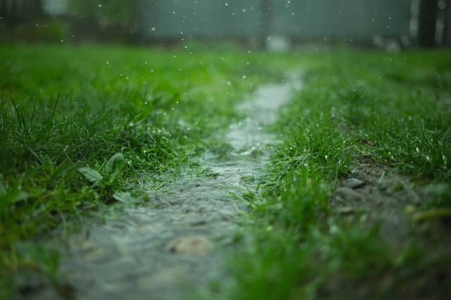 CARLOW WEATHER: Rain and drizzle to linger today with highs of 20 degrees