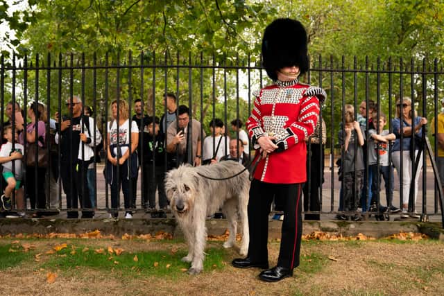 “Are you here because the dog is going to retire?” one puzzled onlooker asked reporters.