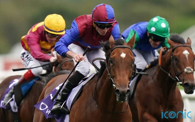 Aidan O’Brien’s sights set on Leopardstown.