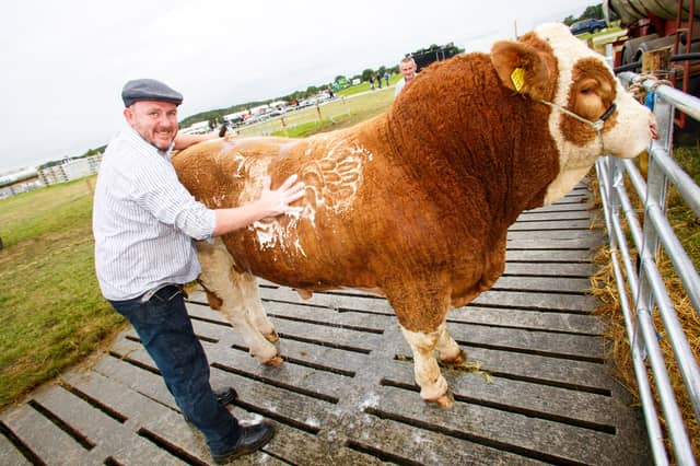 Early Bird tickets available for Tullamore Show