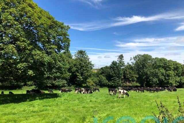 Farmers have described it as a “unrealistic target”, with some cattle farmers believing they will be forced to cull their cattle herd.