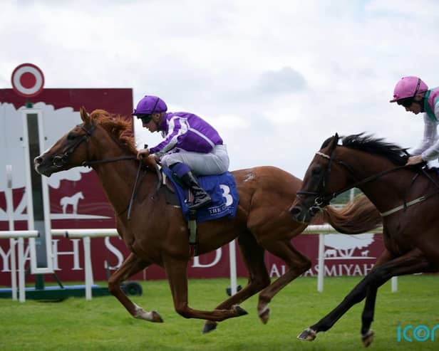 Curragh debutant a smart performer in the making