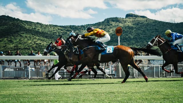 Group 1 winner La Petite Coco given option of quick reappearance at Leopardstown