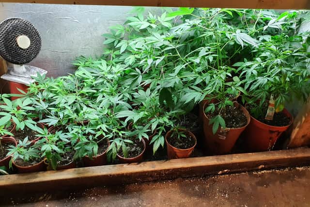 As part of Operation Tara, Gardaí attached to the Galway Divisional Drugs Unit seized cannabis in excess of €70,000 and arrested two persons following a search in Dunmore, Co. Galway on Tuesday, May 10.