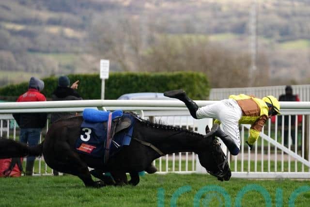 The 5-6 favourite had firmly mastered Bob Olinger and was 12 lengths in front only to come to grief on landing after jumping the last perfectly, and will be a warm order as he takes on five rivals in the two-and-a-half-mile test.