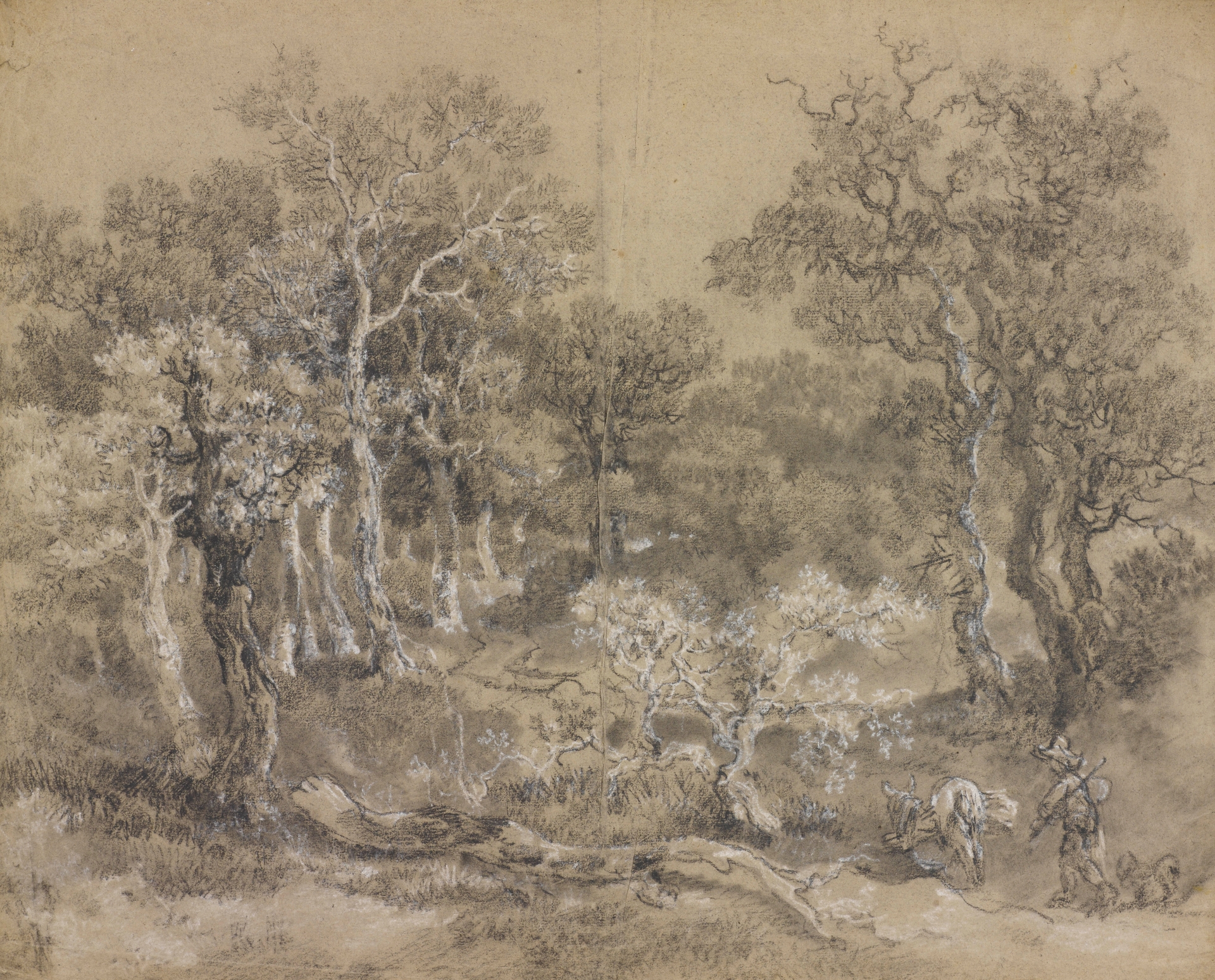 Waterford woman curates exhibition of drawings on display for first time in Ireland