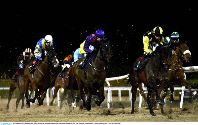 RACING: Tips and analysis for this evening's card at Dundalk