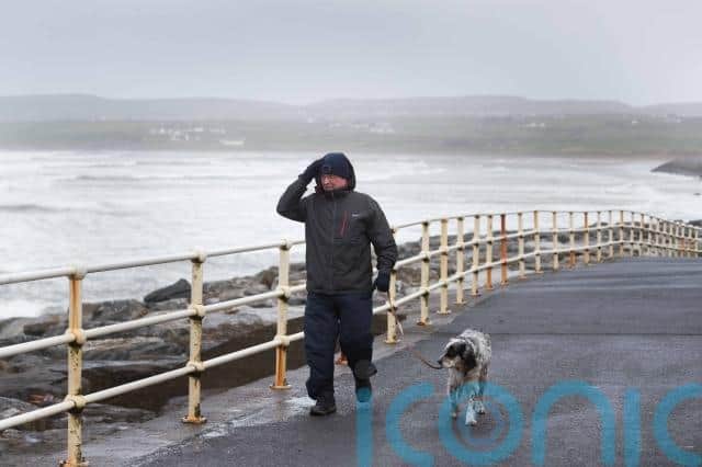 Mr Kinsella, an employee of Wexford County Council, had been attending the scene of another fallen tree in Ballythomas when he was fatally injured.