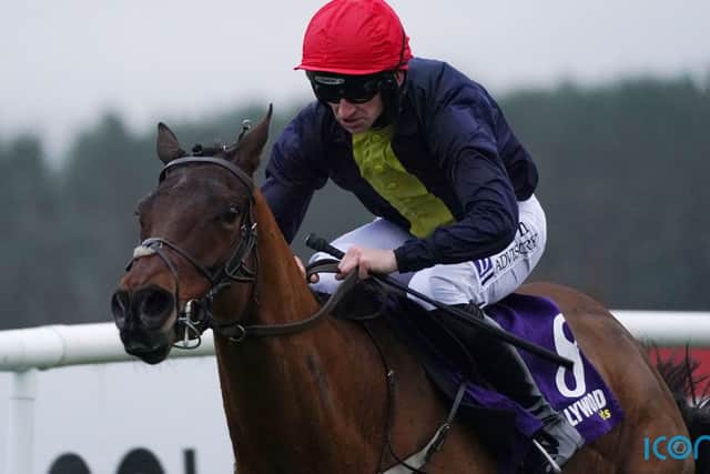 “He’ll be entered in a couple of races (at Cheltenham) and maybe in a handicap as well. We’ll have a look at options after this and chat to connections to see where he fits in.”