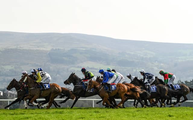 RACING: Tips and analysis for Thursday’s meeting at Clonmel. Photo: Sportsfile