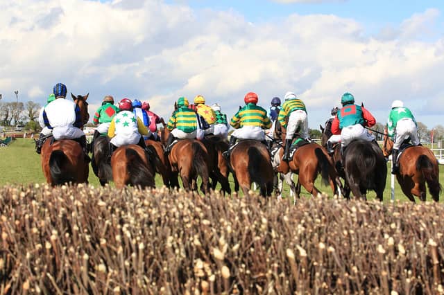 THE PUNTER'S EYE: Punchestown DAY 2 Tips and Preview - Wednesday, April 25