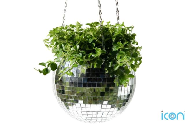 Whether its with macramé or a glittering disco ball, stringing and hanging your plants is a stylish way to work the Seventies’ take on greenery in the home.