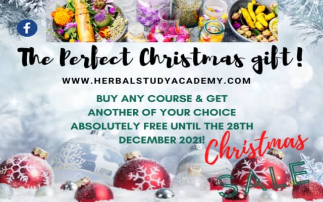 The Perfect Christmas Gift