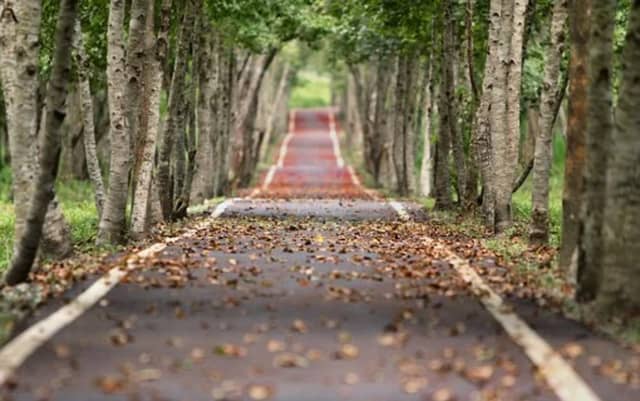 Roads reopened in Waterford