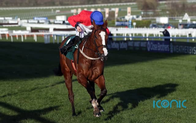 Willie Mullins to unleash superstars at Leopardstown over next few days