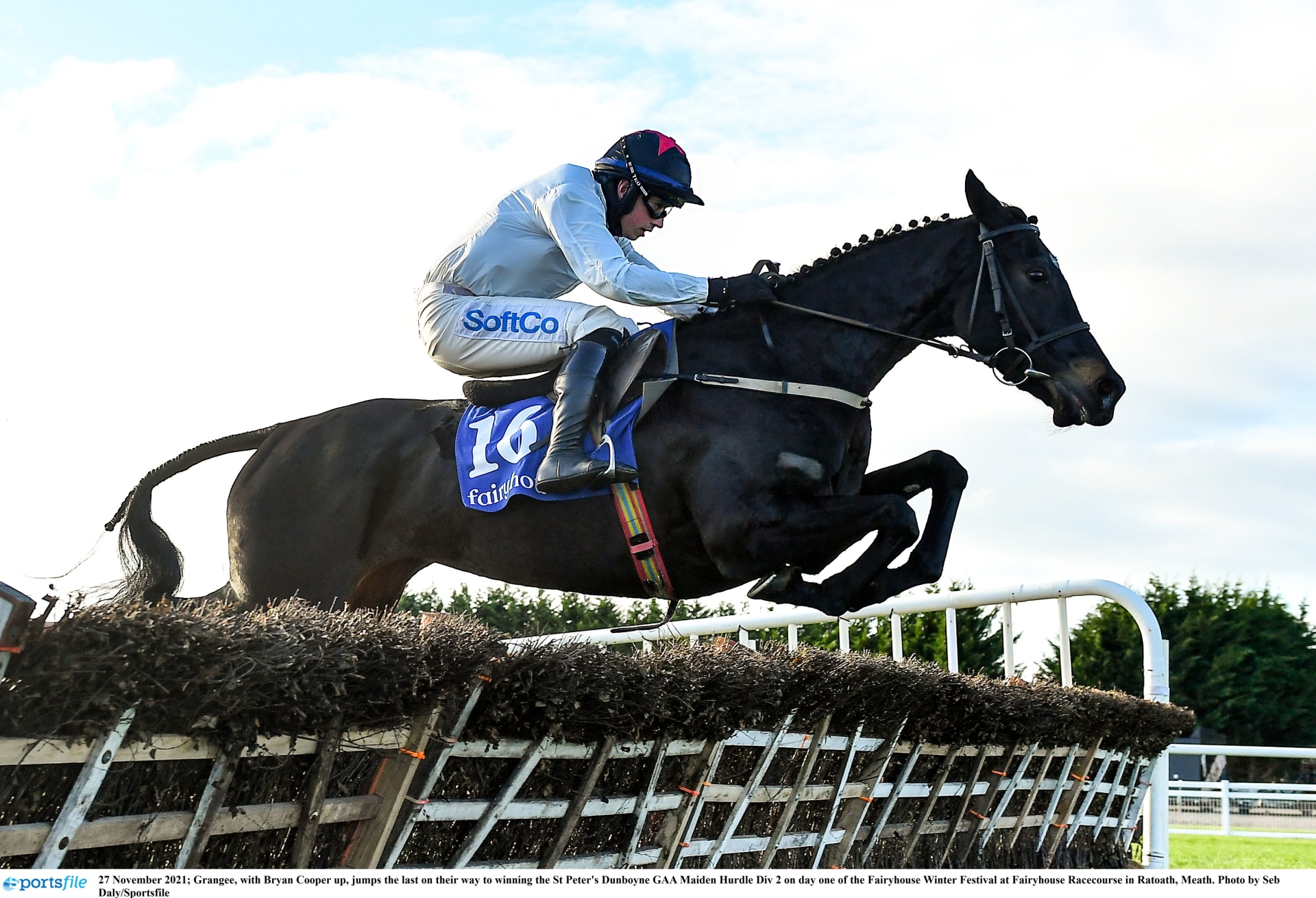 Grangee in action back in November PIC: Sportsfile