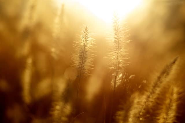 Weather forecast for Ireland at the weekend with better weather on the way