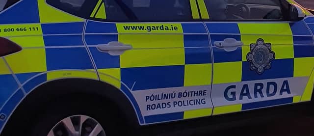 Gardaí stopped the driver in Newbridge