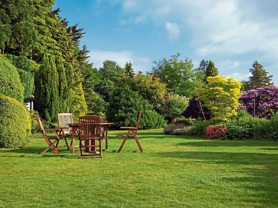 A garden with plenty of privacy
