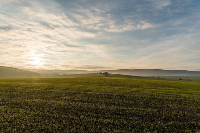 Society of Chartered Surveyors Ireland / eagasc Agricultural Land Market Review and Outlook Report 2021