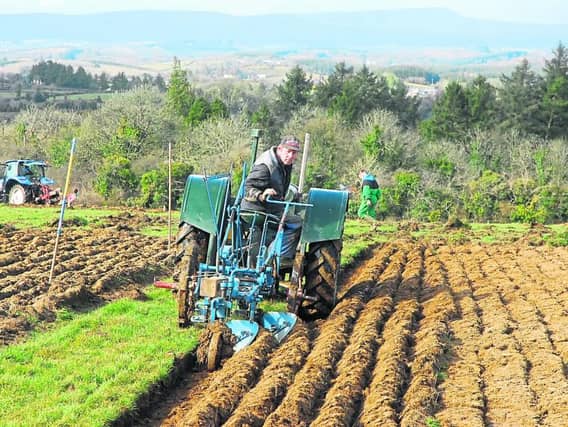 Ploughing goes digital from September 15-17