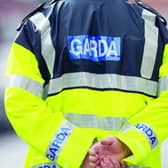 Garda challenges Revenue's decision to seize firearm accessories