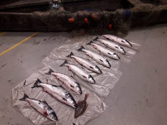 The seizure was made on the River Suir near Carrick-on-Suir, Tipperary