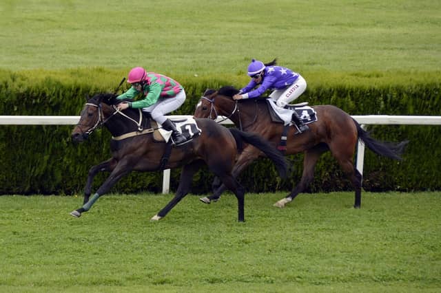 The Derby and The Oaks live on Virgin Media One this weekend