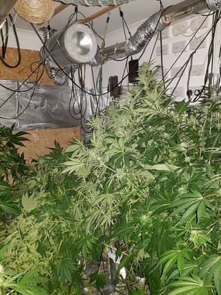 A picture of the seizure
