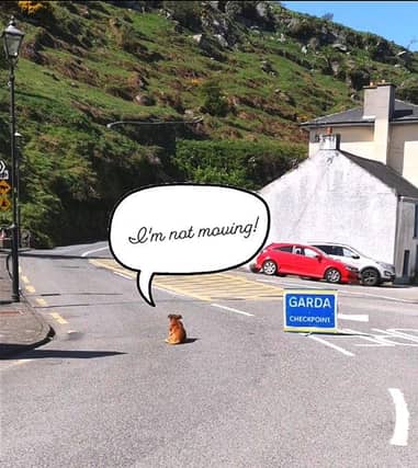 CREDIT: An Garda Síochana