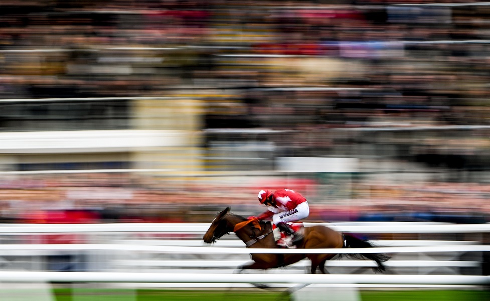 Action from yesterday's Cheltenham Festival