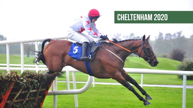 Cheltenham Tips: The horses to back on Day 1 of Cheltenham 2020