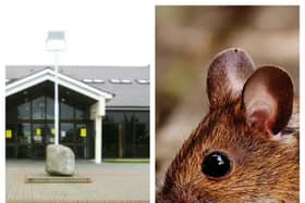 Pest control firm attended University Hospital Waterford more than 200 times over a period of three years and three months