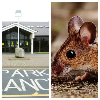 Pest control firm attended University Hospital Waterford more than 200 times over a period of three years and three months