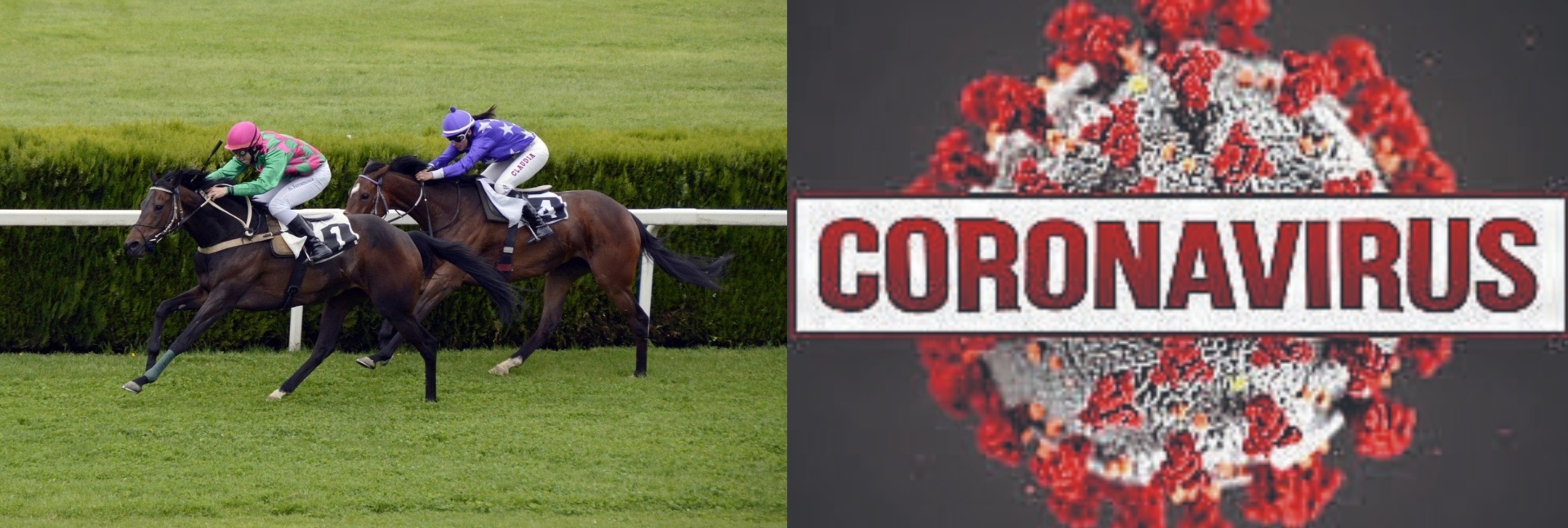 Effective immediately horse racing is no longer open to the public